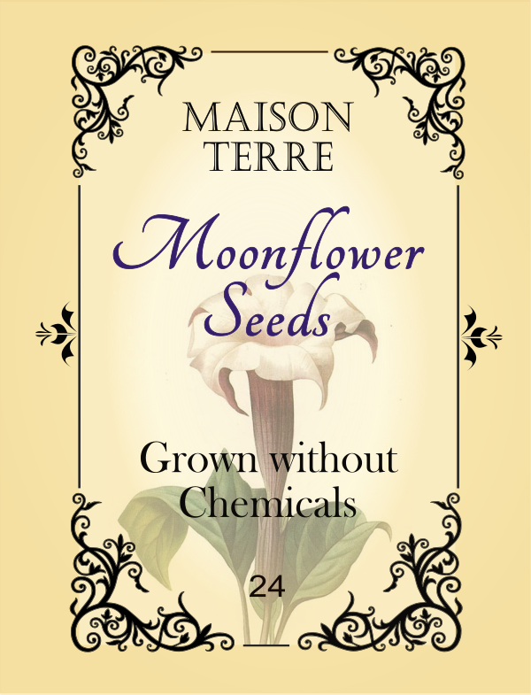 Moonflower Seeds - Click Image to Close